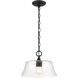 Caily 1 Light 11.5 inch Matte Black Indoor Pendant Ceiling Light